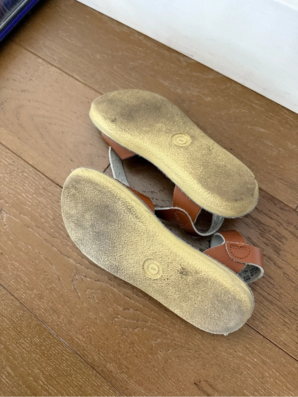 Salt Water Sandals by Hoy Tan Brown Leather Sun-San Surfer - Little Kid Youth
